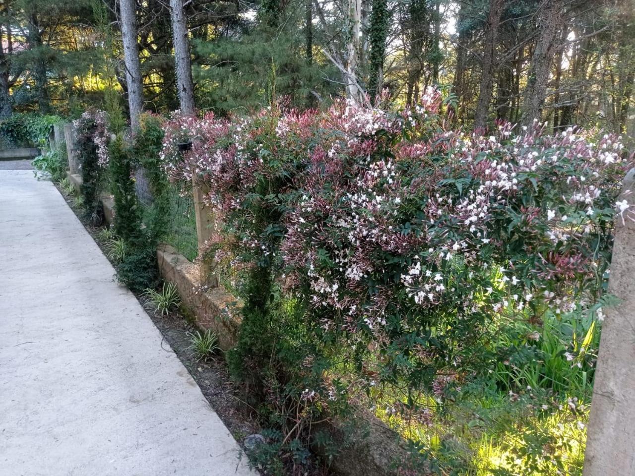 Apartamento A Vida É Bella Gramado Exterior foto